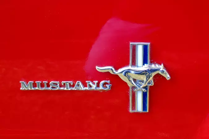 Mustang