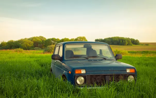 Niva