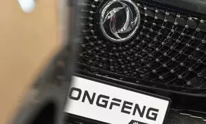 Логотип Dongfeng