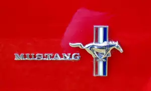 Mustang